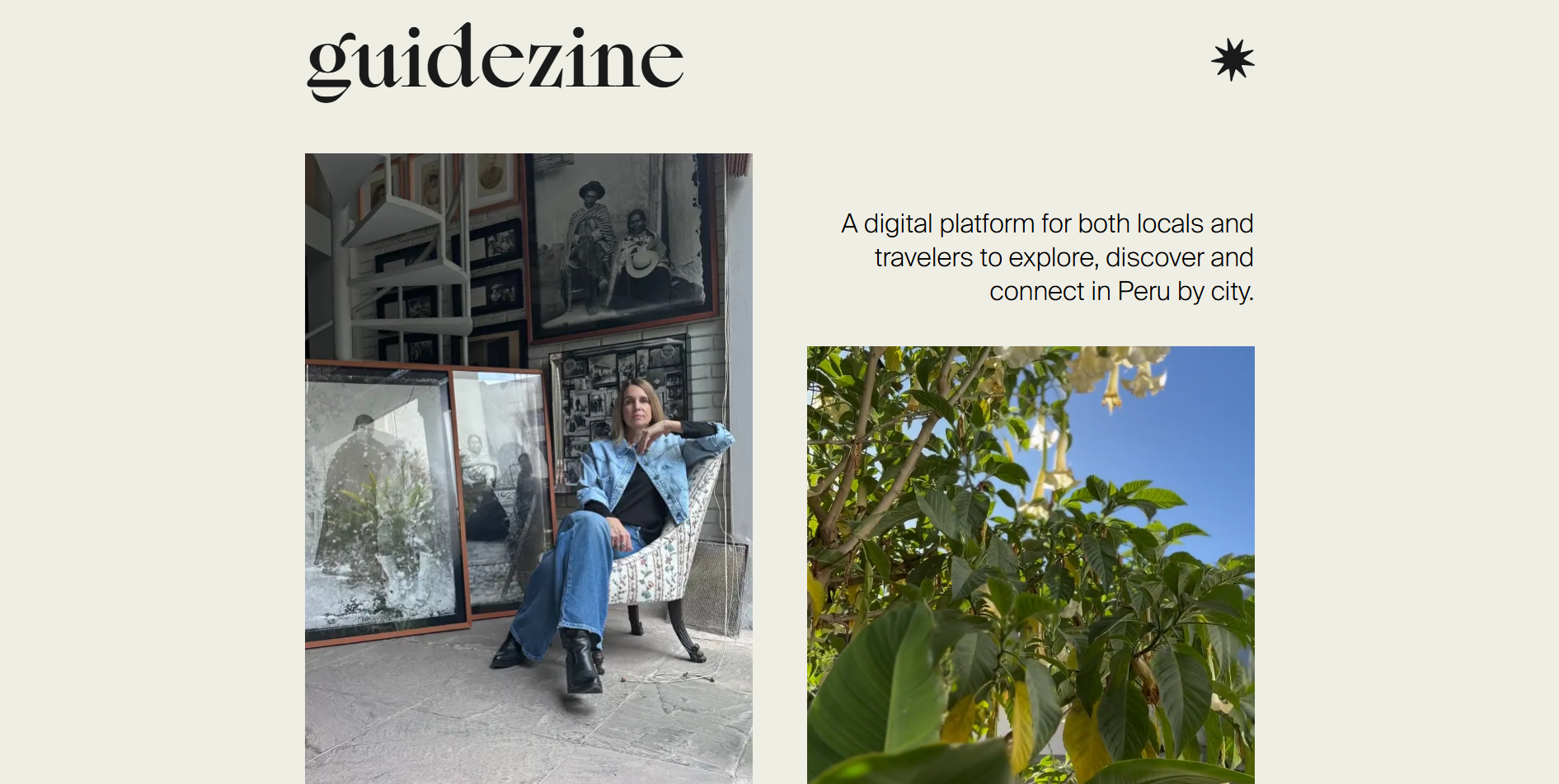 Guidezine project
